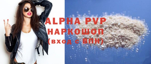 spice Гусев