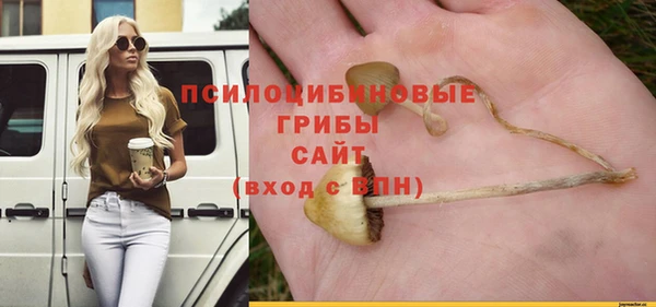 spice Гусев