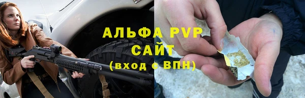 spice Гусев