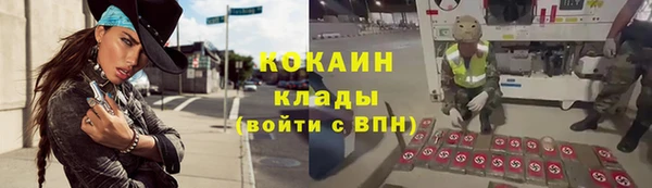 ALPHA PVP Гусь-Хрустальный