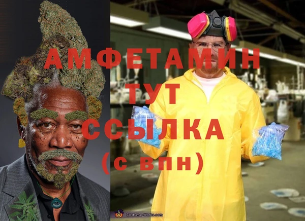 ALPHA PVP Гусь-Хрустальный