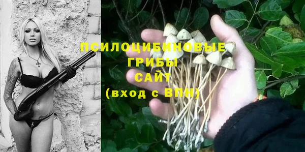 ALPHA PVP Гусь-Хрустальный